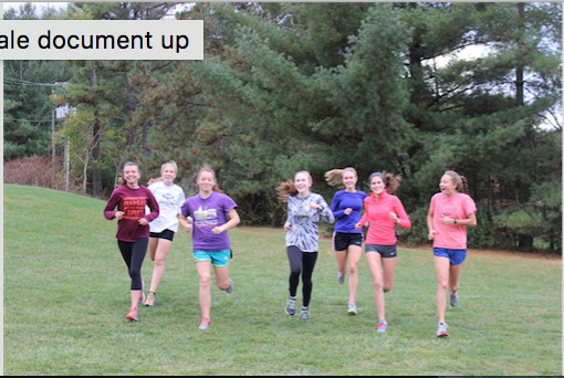 Girls Cross Country Makes Back-to-Back Runs at States