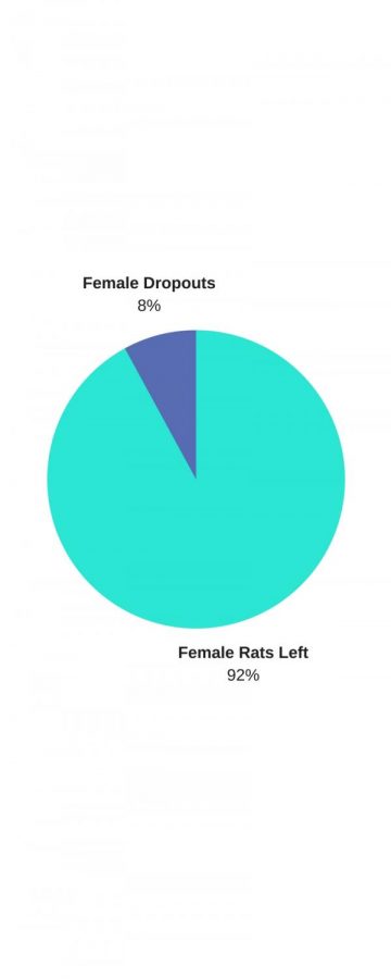 Female rats dropout rates in the first week of school