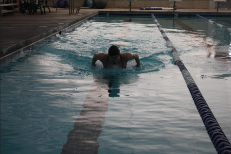 Swim team welcomes exchange students