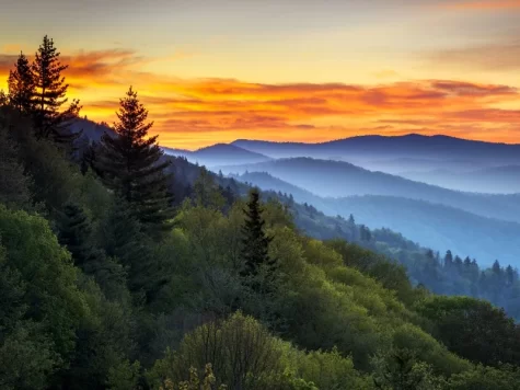 The Appalachian Mountains Credit: Shutterstock