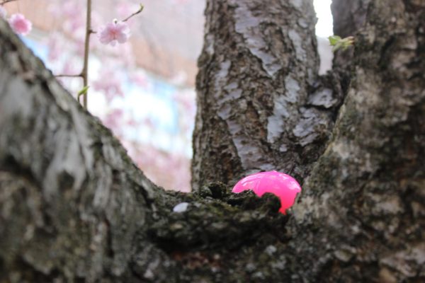 Pink egg remains hidden in a tree outside