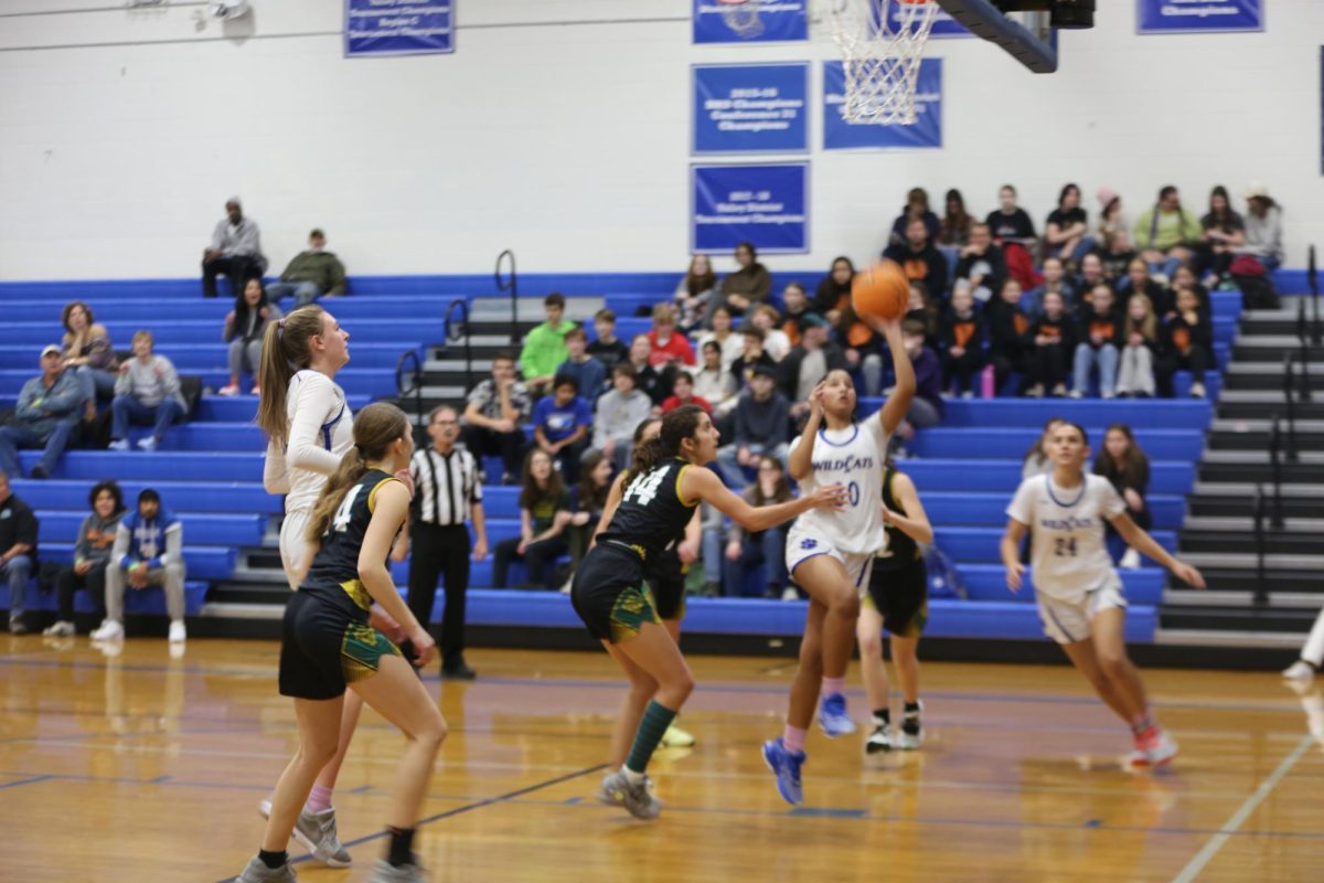 Sophomore guard Desirae Butler attempts to shoot the ball against the opposing team. Photo courtesy of Hannah Iven's.