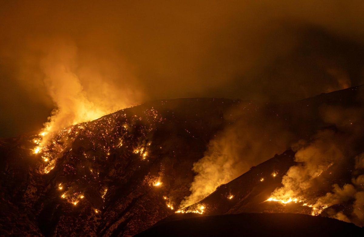 The fire ravages a hill in Mentone, CA. Photo courtesy of Soley Moses on pexels.com.