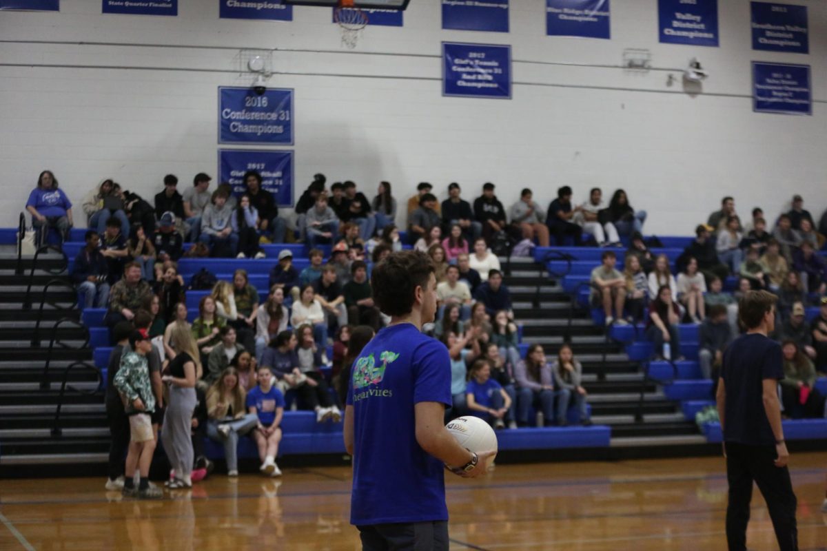 Sophmore Bradi Ziegler gets ready to serve.