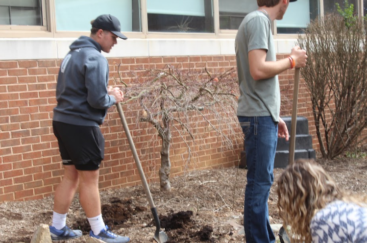 Students dig holes for the flowers.