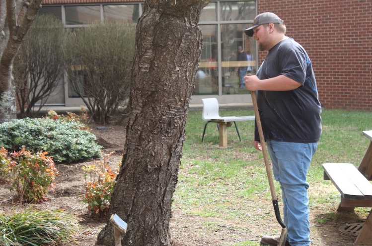 Student observes peers after digging a hole.