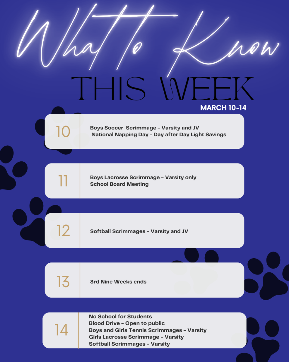 Infographic made on Canva by Faith Mohr.