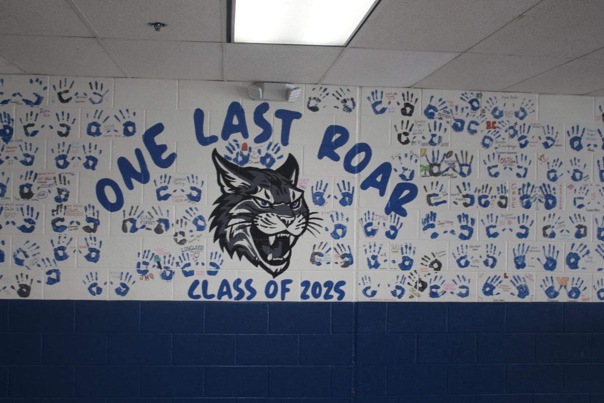 Seniors placed their handprints on the walls of the cafeteria, aswell as their plans for next year. 