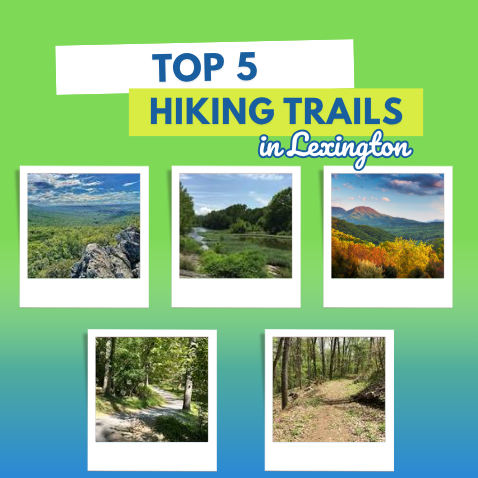 Top 5 hiking trails in Lexington