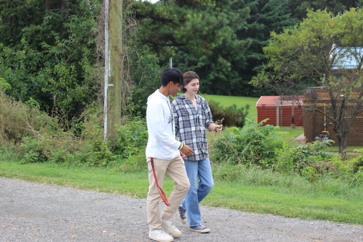 Students walk together.