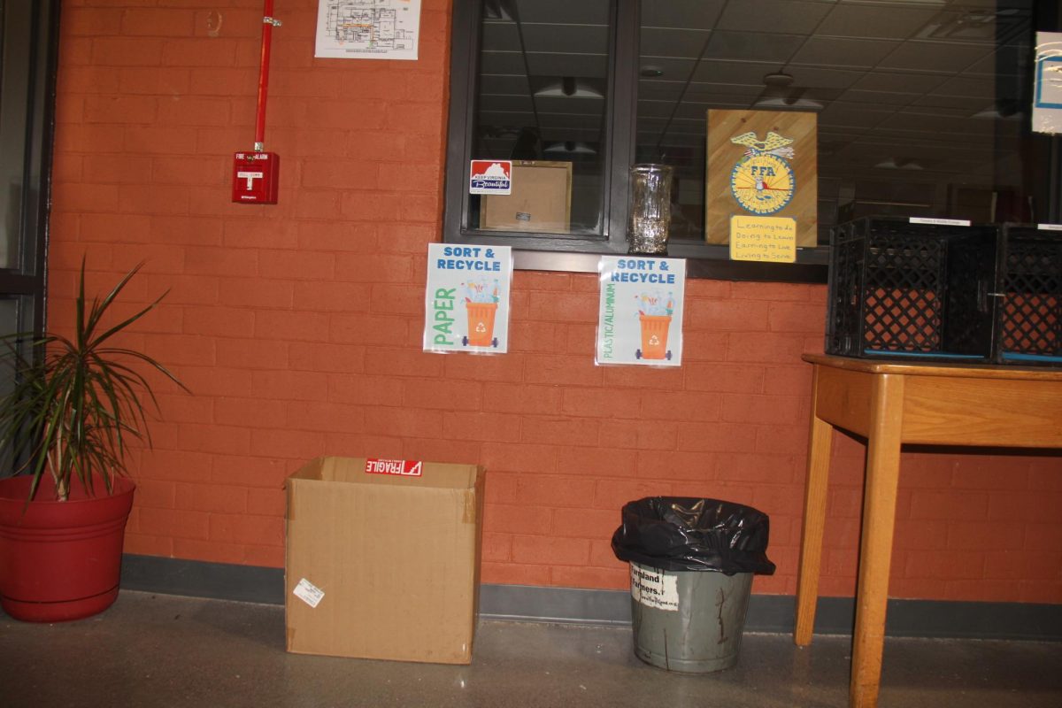 Bins in RCHS classrooms to recycle. 