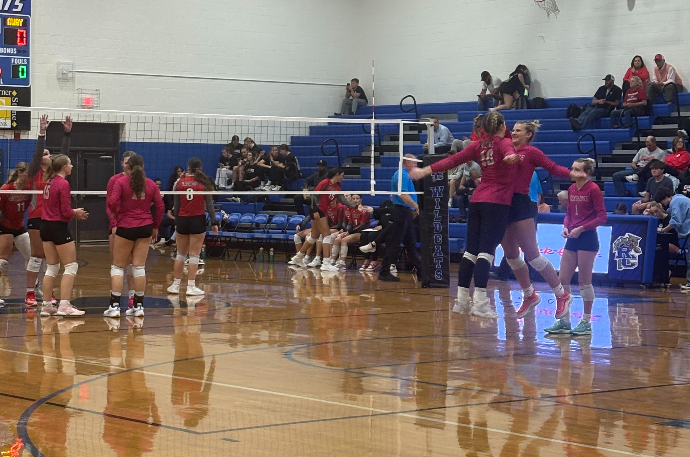 Wildcats celebrate after scoring a point.