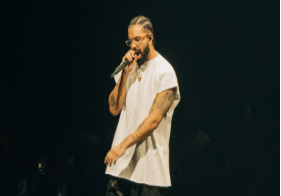 Picture of Drake at a concert 