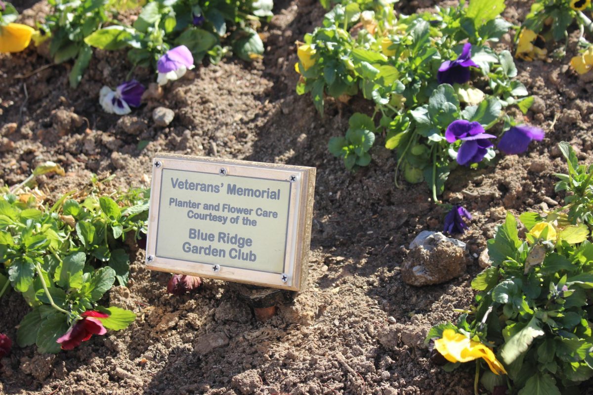 The flowerbed at the memorial downtown.