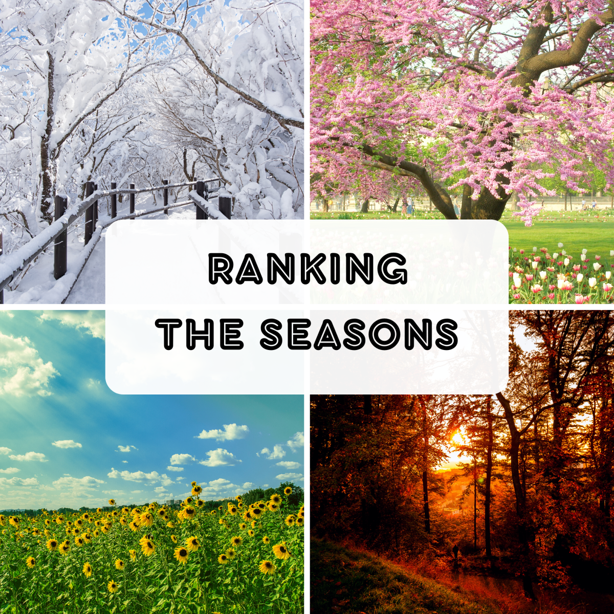 The seasons of the year: ranked