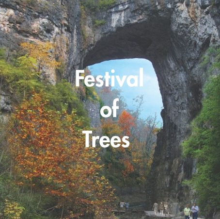 Festival of Trees impact Rockbridge