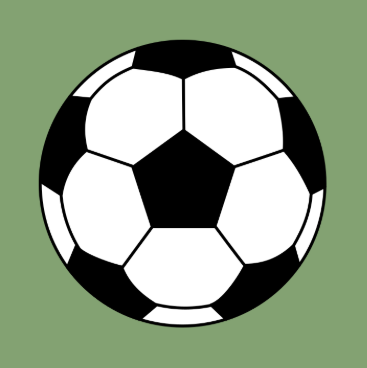Varsity boys soccer falls to Amherst